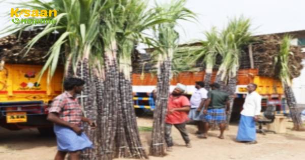 सरकार ने मौजूदा स्टॉक से चीनी के निर्यात की समय सीमा तीन महीने बढ़ाकर दिसंबर कर दी